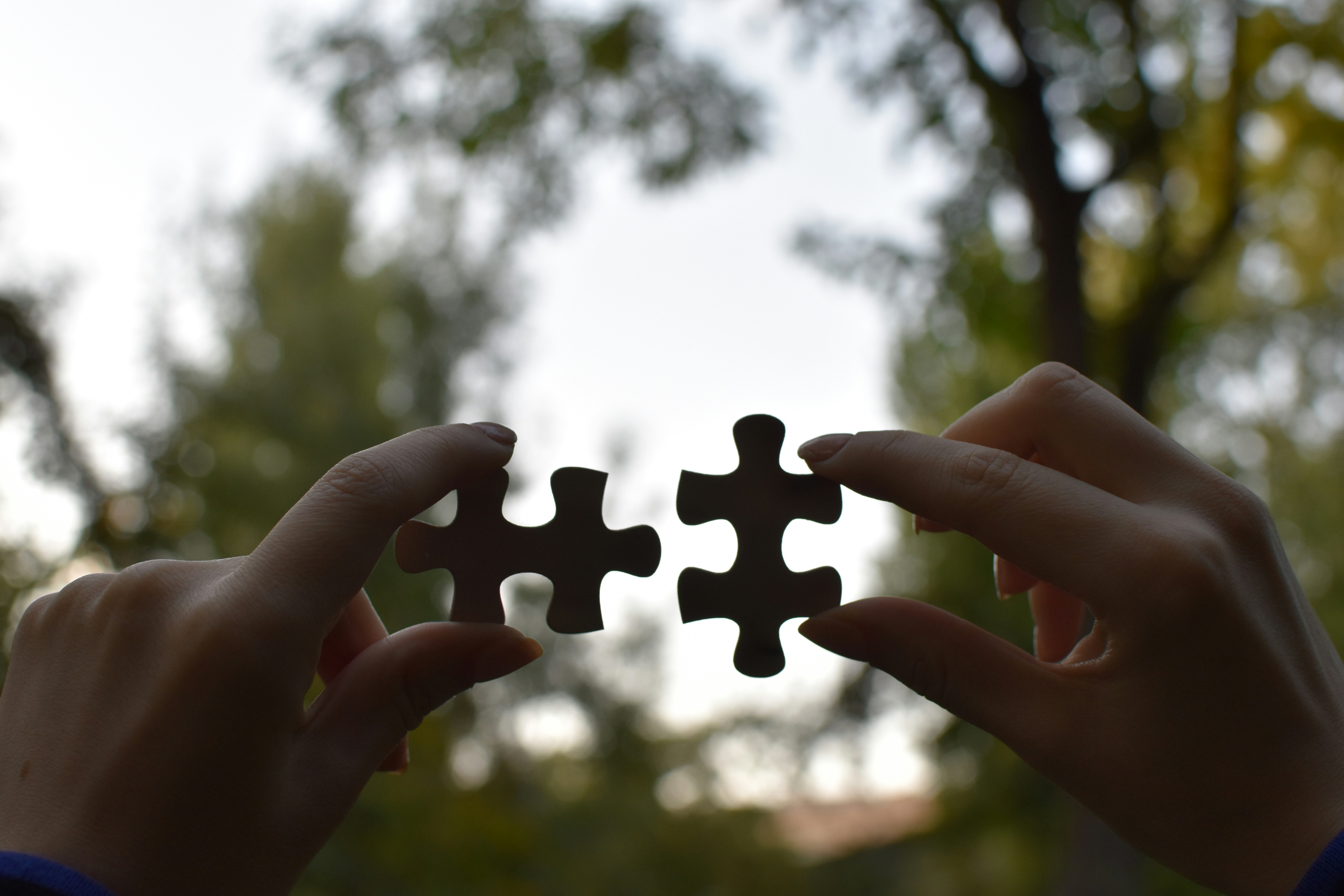 Integratieplatform